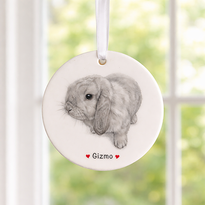 Hand-painted Pet Ornament